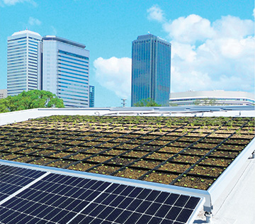 太陽光発電と屋上緑化のコラボシステム
